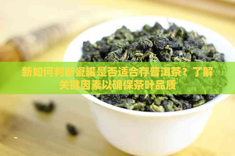 新如何判断瓷罐是否适合存普洱茶？了解关键因素以确保茶叶品质