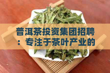 普洱茶投资集团招聘：专注于茶叶产业的金融人才招募