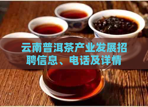 云南普洱茶产业发展招聘信息、电话及详情