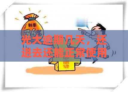 光大逾期几天，还进去还能正常使用吗： 逾期十天上，还清后可正常使用