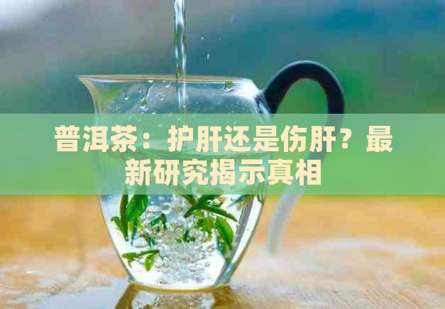 普洱茶：护肝还是伤肝？最新研究揭示真相