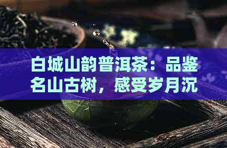 白城山韵普洱茶：品鉴名山古树，感受岁月沉淀的韵味