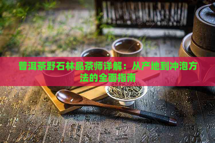 普洱茶野石林品茶师详解：从产地到冲泡方法的全面指南