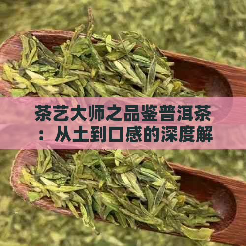 茶艺大师之品鉴普洱茶：从土到口感的深度解读