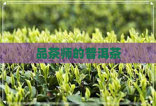 品茶师的普洱茶