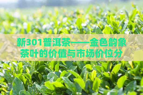 新301普洱茶——金色韵象茶叶的价值与市场价位分析