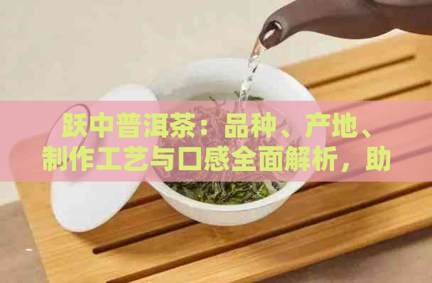 跃中普洱茶：品种、产地、制作工艺与口感全面解析，助您成为普洱茶专家