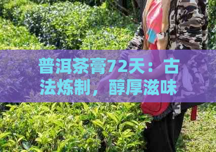 普洱茶膏72天：古法炼制，醇厚滋味，健养生佳品