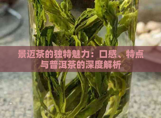 景迈茶的独特魅力：口感、特点与普洱茶的深度解析