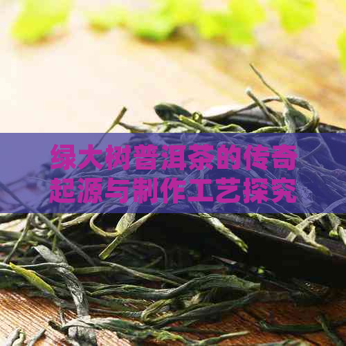 绿大树普洱茶的传奇起源与制作工艺探究