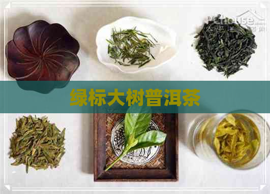 绿标大树普洱茶