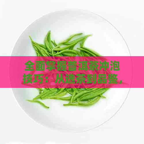 全面掌握普洱茶冲泡技巧：从选茶到品鉴，一份详尽的官方指南