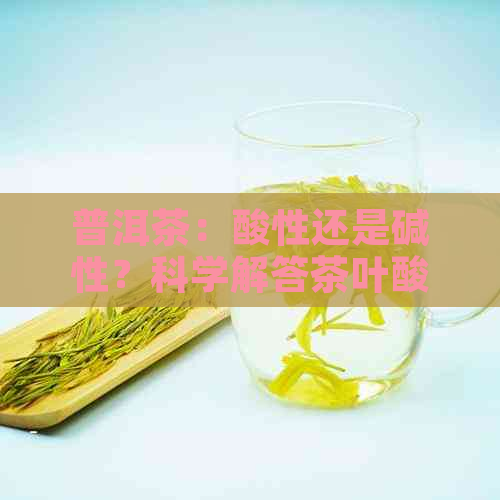 普洱茶：酸性还是碱性？科学解答茶叶酸碱性质之谜