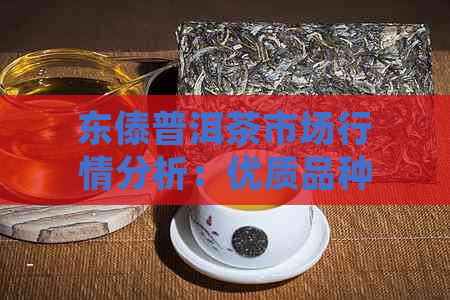 东傣普洱茶市场行情分析：优质品种价格趋势与投资建议