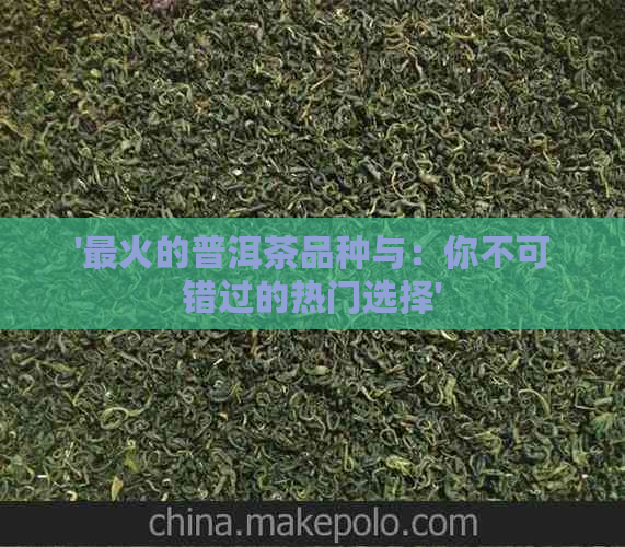 '最火的普洱茶品种与：你不可错过的热门选择'