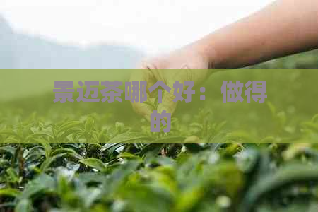 景迈茶哪个好：做得的