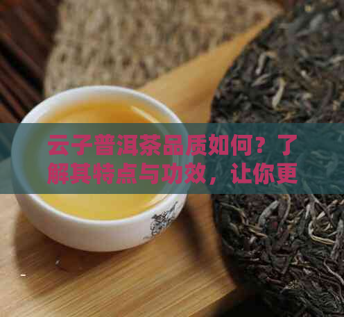 云子普洱茶品质如何？了解其特点与功效，让你更全面地认识这种茶叶