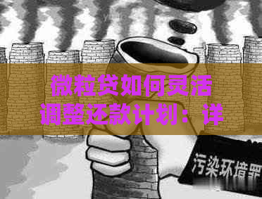 微粒贷如何灵活调整还款计划：详细指南和实用建议