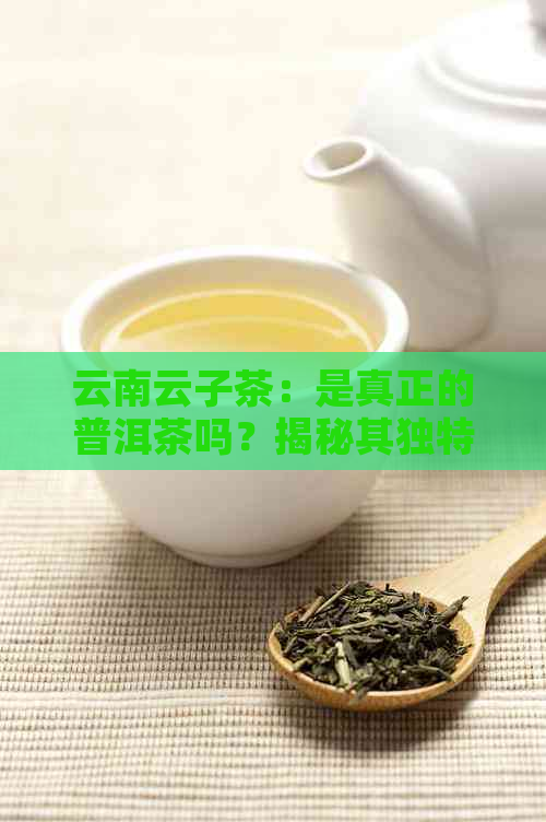 云南云子茶：是真正的普洱茶吗？揭秘其独特魅力与辨识方法