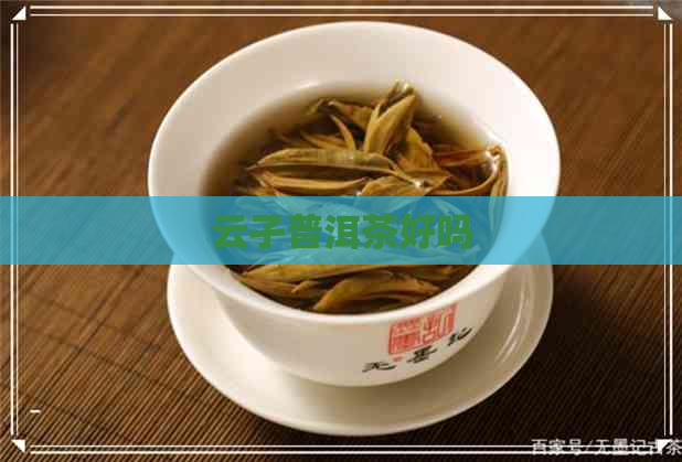 云孑普洱茶好吗