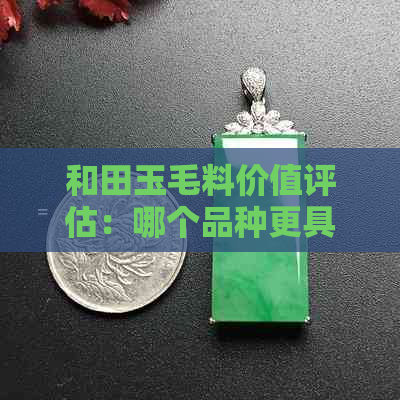 和田玉毛料价值评估：哪个品种更具投资潜力？价格因素分析