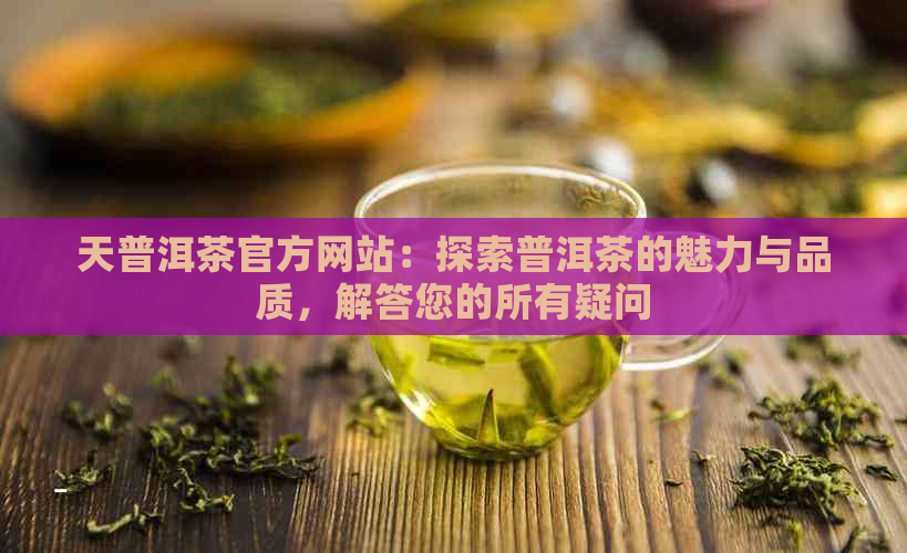 天普洱茶官方网站：探索普洱茶的魅力与品质，解答您的所有疑问