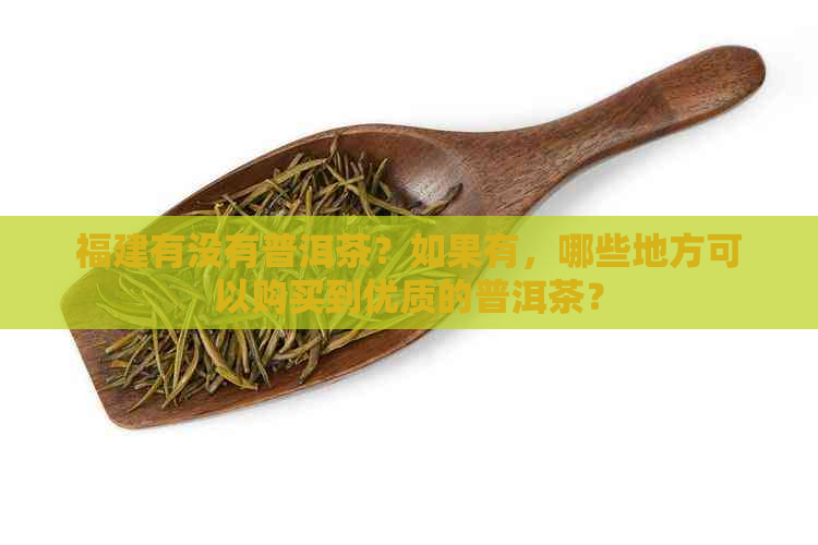 福建有没有普洱茶？如果有，哪些地方可以购买到优质的普洱茶？