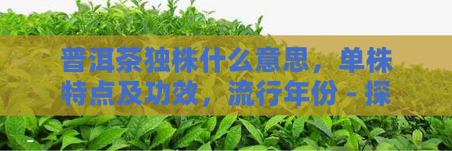 普洱茶独株什么意思，单株特点及功效，流行年份 - 探索普洱茶的独特魅力