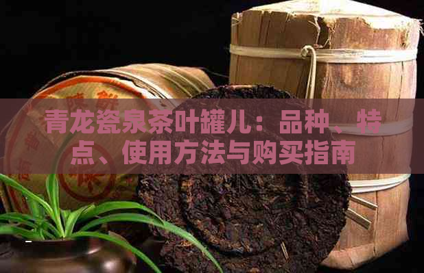 青龙瓷泉茶叶罐儿：品种、特点、使用方法与购买指南