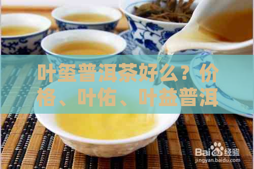 叶玺普洱茶好么？价格、叶佑、叶益普洱茶，一站式了解！