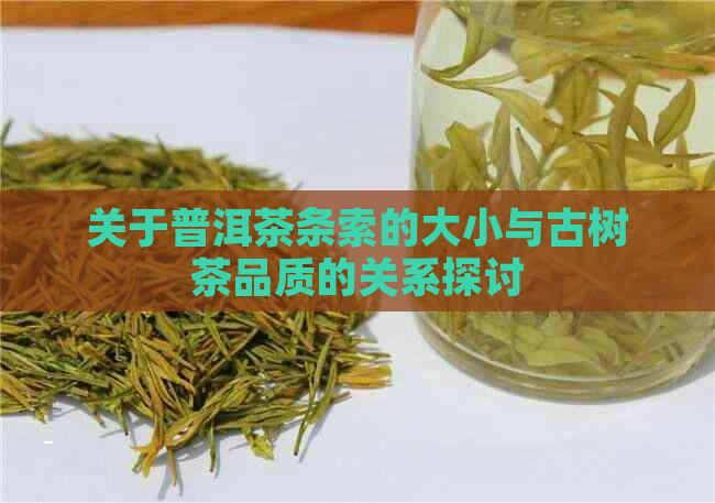 关于普洱茶条索的大小与古树茶品质的关系探讨