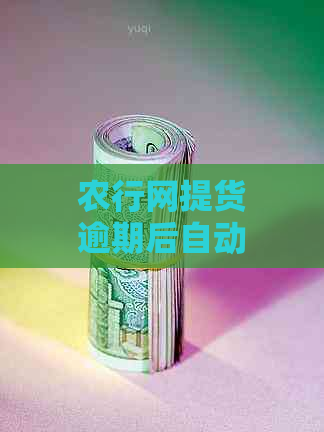 农行网提货逾期后自动扣款时间与方式详解：24小时持续扣款还是一次性扣清？