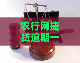 农行网捷贷逾期一天后，如何通过柜面手工扣款以避免逾期影响？