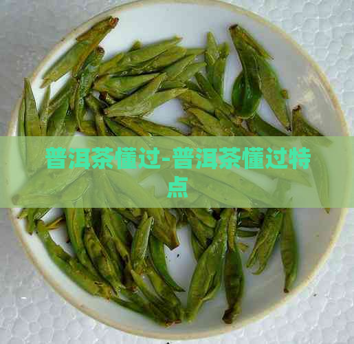 普洱茶懂过-普洱茶懂过特点