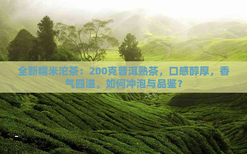 全新糯米沱茶：200克普洱熟茶，口感醇厚，香气四溢，如何冲泡与品鉴？