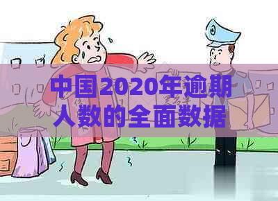 中国2020年逾期人数的全面数据解析及相关政策措分析