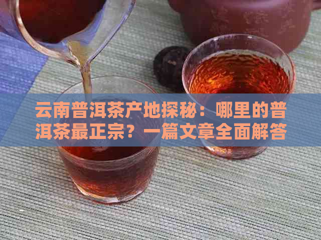 云南普洱茶产地探秘：哪里的普洱茶最正宗？一篇文章全面解答你的疑问。