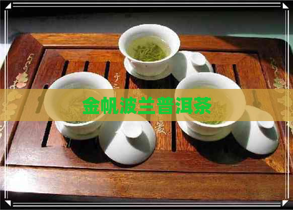 金帆波兰普洱茶