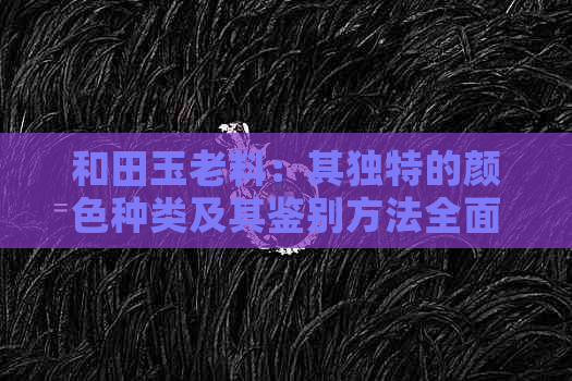 和田玉老料：其独特的颜色种类及其鉴别方法全面解析