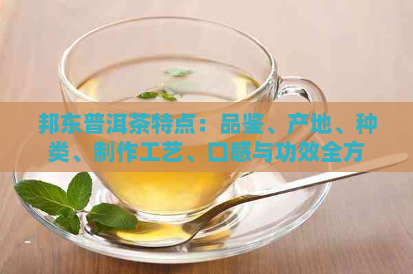 邦东普洱茶特点：品鉴、产地、种类、制作工艺、口感与功效全方位解析