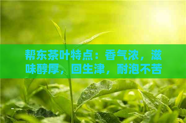 帮东茶叶特点：香气浓，滋味醇厚，回生津，耐泡不苦。