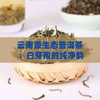 云南原生态普洱茶：白芽孢的纯净韵味，古树茶的新定义