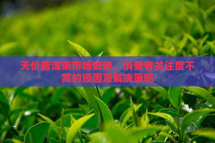 天价普洱茶市场低迷，消费者关注度不高的原因及解决策略