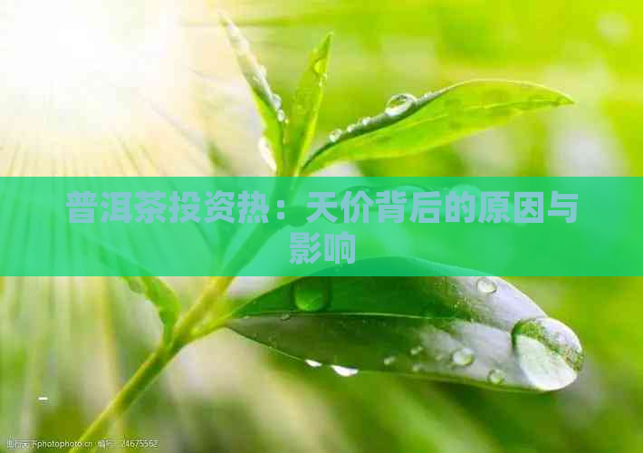 普洱茶投资热：天价背后的原因与影响