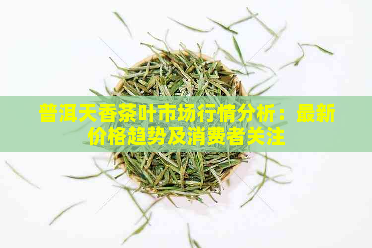 普洱天香茶叶市场行情分析：最新价格趋势及消费者关注