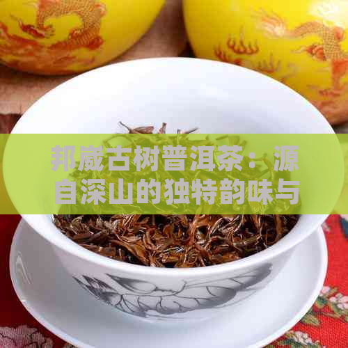 邦崴古树普洱茶：源自深山的独特韵味与健益处