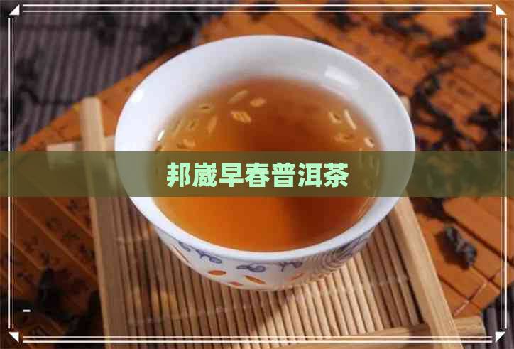 邦崴早春普洱茶