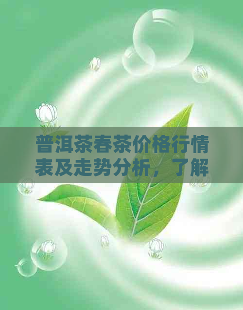 普洱茶春茶价格行情表及走势分析，了解最新春茶价格信息。