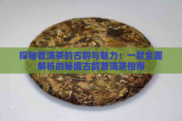 探秘普洱茶的古韵与魅力：一款全面解析的秘境古韵普洱茶指南