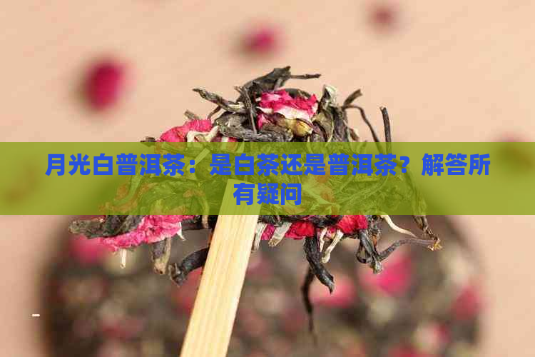 月光白普洱茶：是白茶还是普洱茶？解答所有疑问